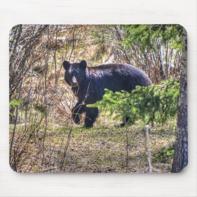 Wild Black Bear and Trees Wildlife Photo Mouse Mat (Front)