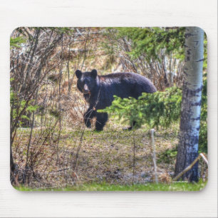 Wild Black Bear and Trees Wildlife Photo Mouse Mat