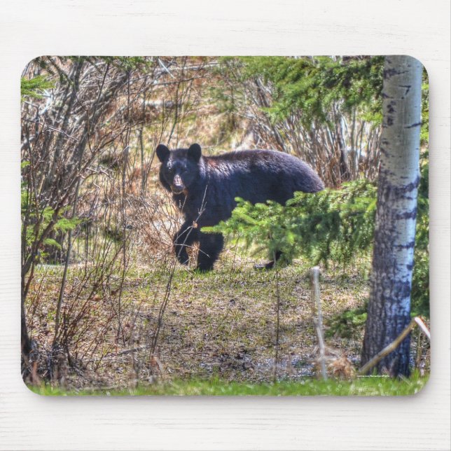 Wild Black Bear and Trees Wildlife Photo Mouse Mat (Front)