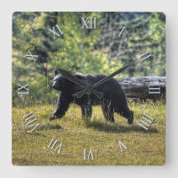 Wild Black Bear & Canadian Forest Photo Art