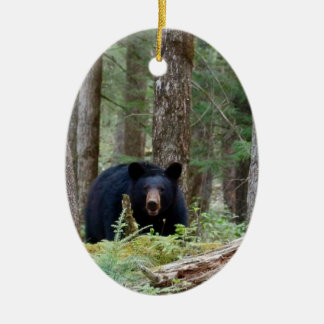 Wild Black Bear Ceramic Ornament
