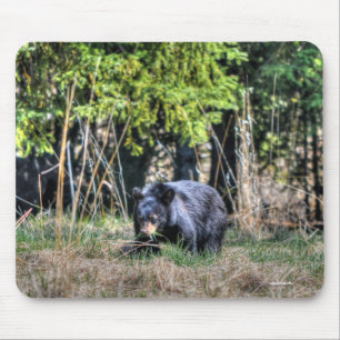 Wild Black Bear Cub & Forest Wildlife Photo #Gift Mouse Mat