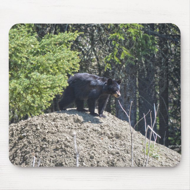 Wild Black Bear Cub & Mud Hill Wildlife Photo Gift Mouse Mat (Front)