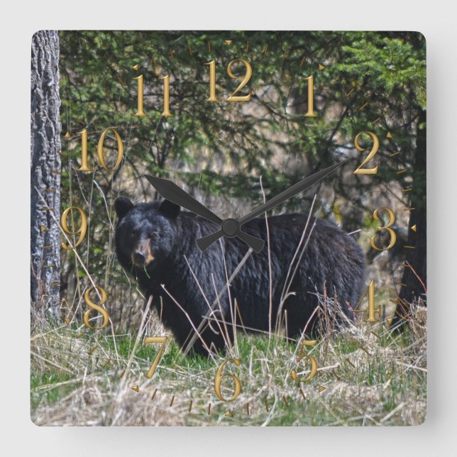 Wild Black Bear & Forest Wildlife Photo Wall Clock (Front)