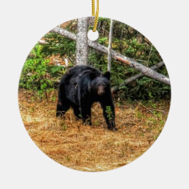 Wild Black Bear & Yukon Forest Photo Art Ceramic Tree Decoration (Front)
