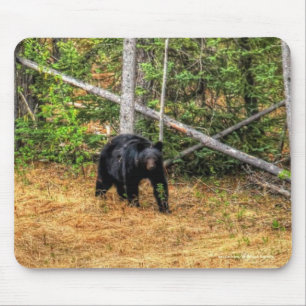 Wild Black Bear & Yukon Forest Photo Art Mouse Mat