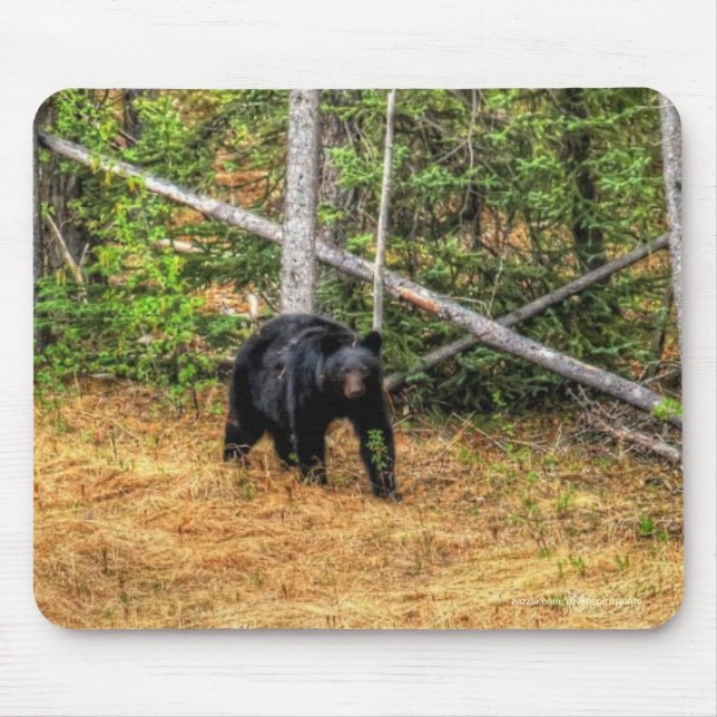 Wild Black Bear & Yukon Forest Photo Art Mouse Mat (Front)