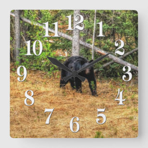 Wild Black Bear & Yukon Forest Photo Art Square Wall Clock