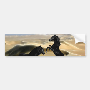 Wild black beauty horses bumper sticker