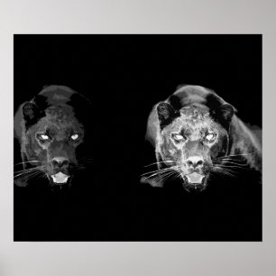 Wild Black Jaguar Cat Eyes Poster