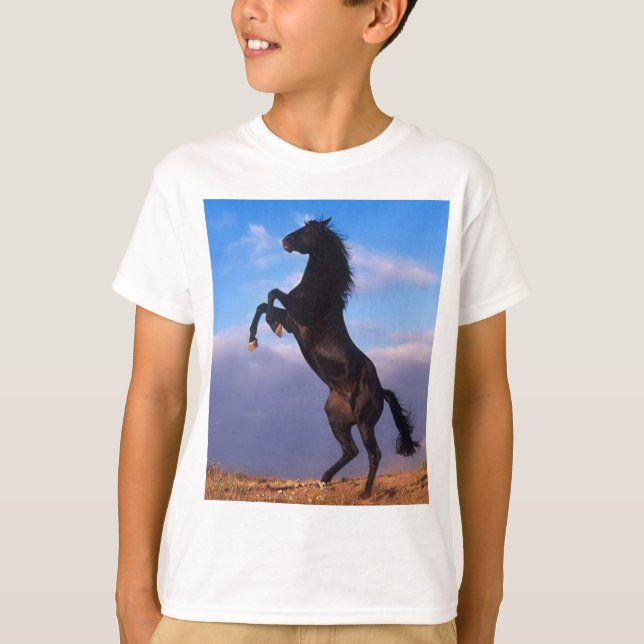 Wild Black Stallion Rearing Horse T-Shirt (Front)