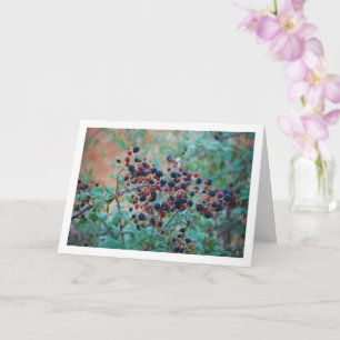 Wild Blackberry Fruit Card