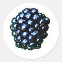 wild blackberry sticker, ripening bramble berry, e