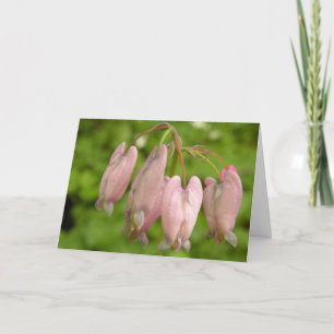 Wild Bleeding Hearts I'm Sorry Card