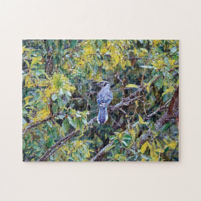 Wild Blue Jay Bird Art Puzzle (Horizontal)
