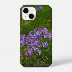 Wild Blue Phlox iPhone Case