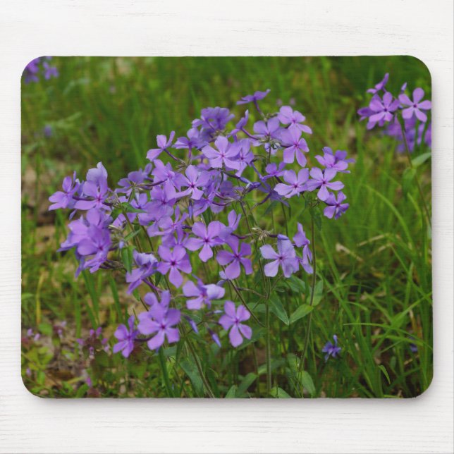 Wild Blue Phlox Mouse Mat (Front)