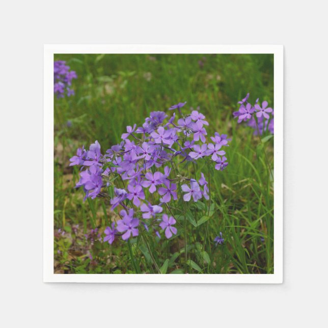 Wild Blue Phlox Napkin (Front)