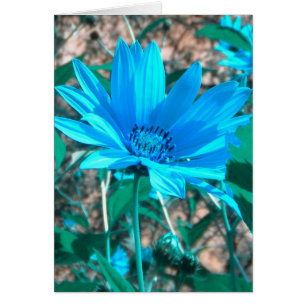 Wild Blue Sunflower Card *customise*