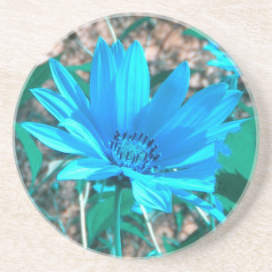 Wild Blue Sunflower Coaster