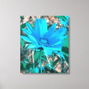 Wild Blue Sunflower Wrapped Canvas Print