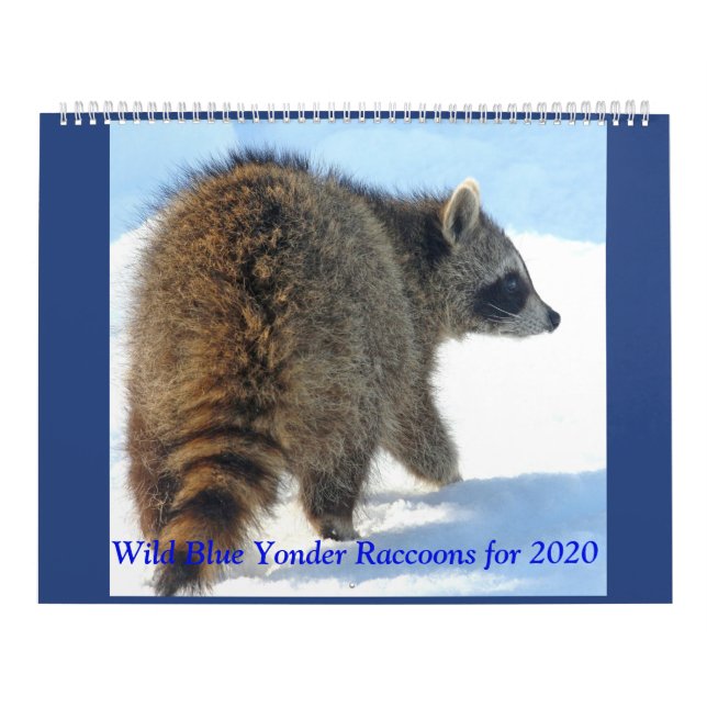 Wild Blue Yonder Raccoons of 2019 Calendar (Cover)
