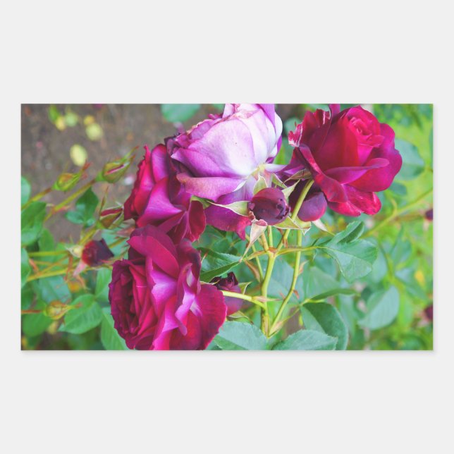 Wild Blue Yonder Rose #1-2 Stickers (Front)