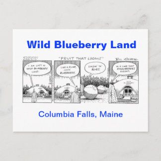Wild Blueberry Land Postcard