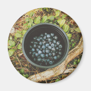 Wild Blueberry Picking  Magnet