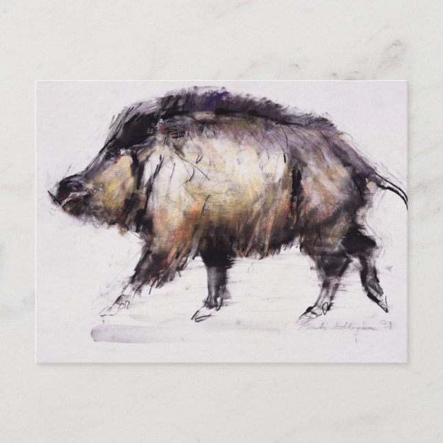 Wild Boar 1999 Postcard (Front)