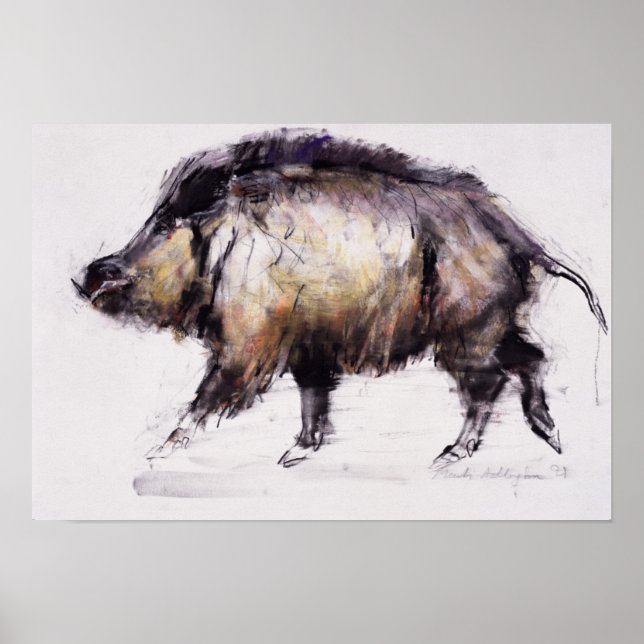 Wild Boar 1999 Poster (Front)