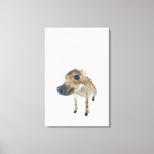 Wild boar canvas print