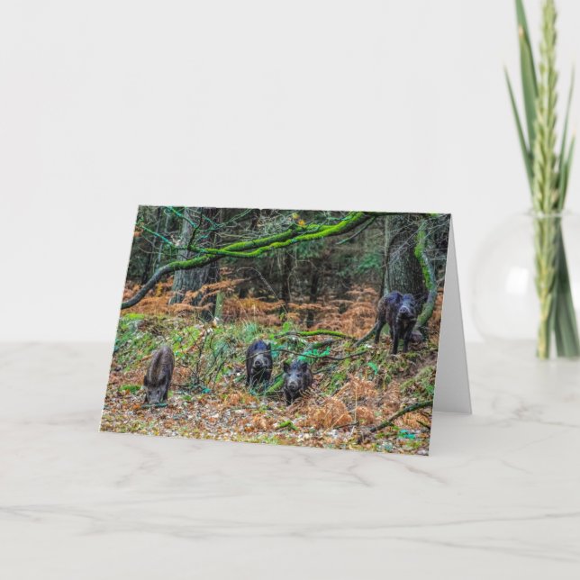 Wild Boar Card (Front)