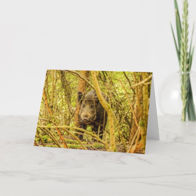 Wild Boar Card (Front)