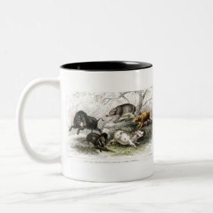 Wild Boar, Collared Peccary, Chinese Sow, Capibara Two-Tone Coffee Mug