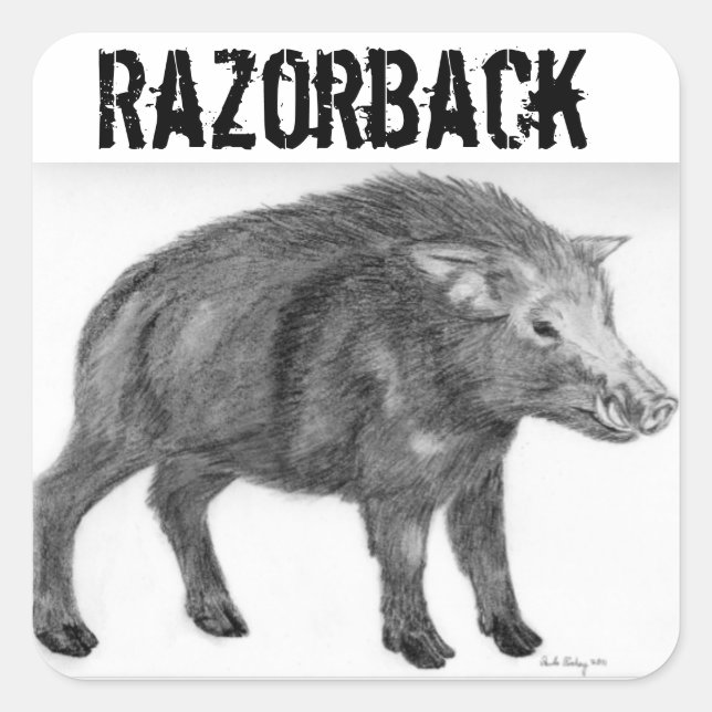 Wild Boar, Defensive Stance Square Sticker (Front)