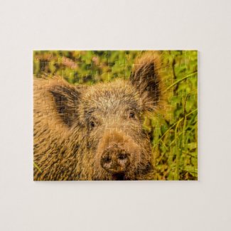 Wild Boar Jigsaw Puzzle