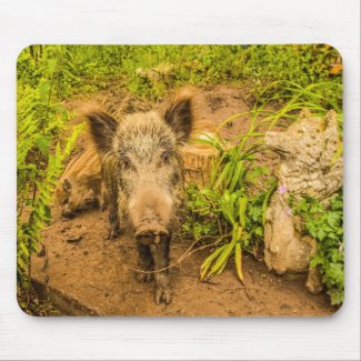 Wild Boar Mouse Pad