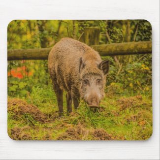 Wild Boar Mouse Pad