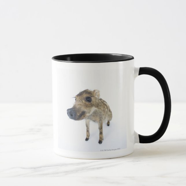 Wild boar mug (Right)