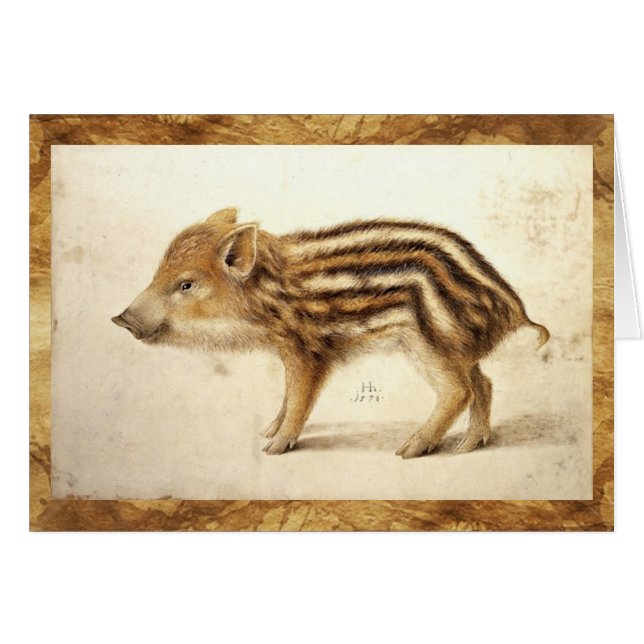 WILD BOAR PIGLET Animal Drawing (Front Horizontal)