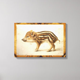 WILD BOAR PIGLET Animal Drawing Canvas Print