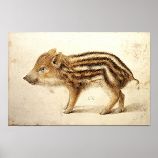 WILD BOAR PIGLET / Animal Drawings Poster (Front)