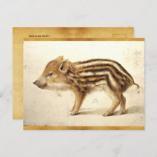 WILD BOAR PIGLET Antique Animal Drawing Parchment Postcard