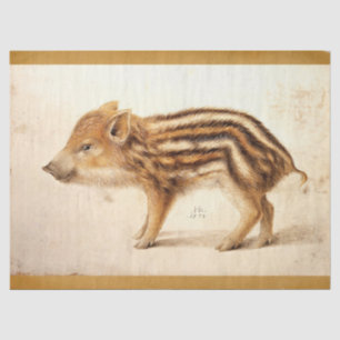 WILD BOAR PIGLET Antique Animal Drawing Parchment  Tissue Paper