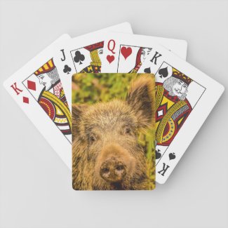 Wild Boar Playing Cards
