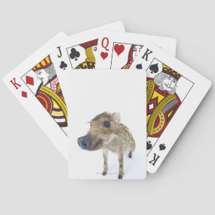 Wild boar playing cards