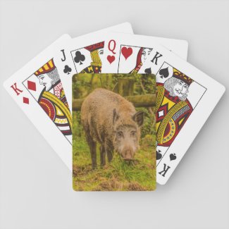 Wild Boar Playing Cards