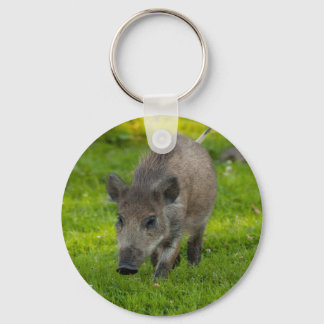 wild boar search for love key ring