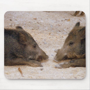 Wild boar - Wild Hog Mouse Mat